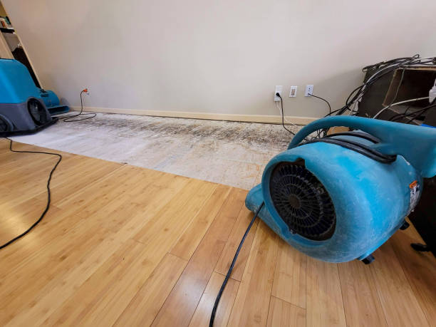 Professional Structural Drying technician working in Westmont, IL